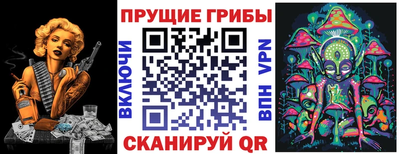 Псилоцибиновые грибы мухоморы  купить наркотик  Мышкин 