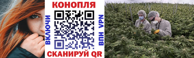 Марихуана OG Kush  хочу наркоту  Мышкин 